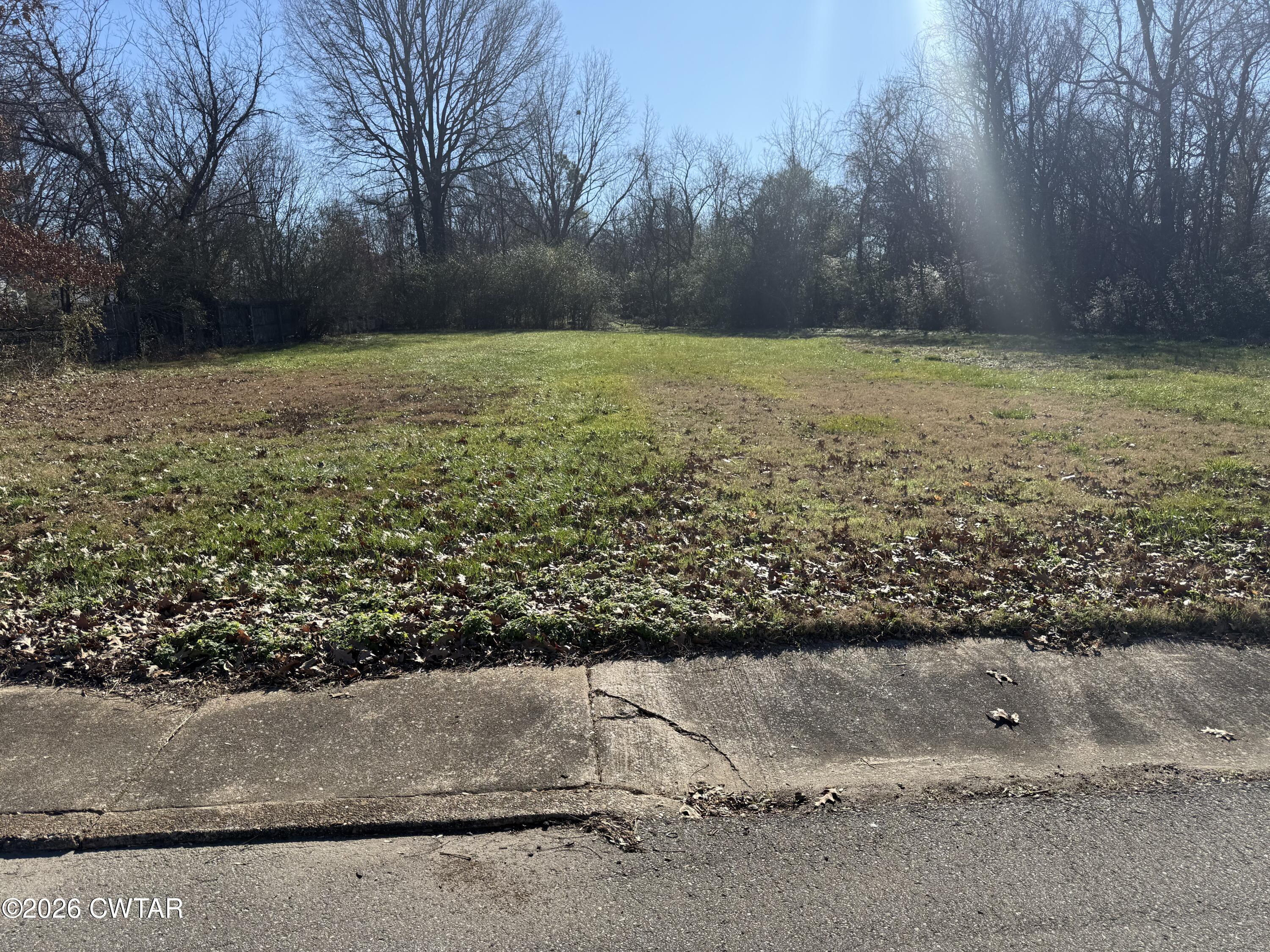 a view of a field with an trees