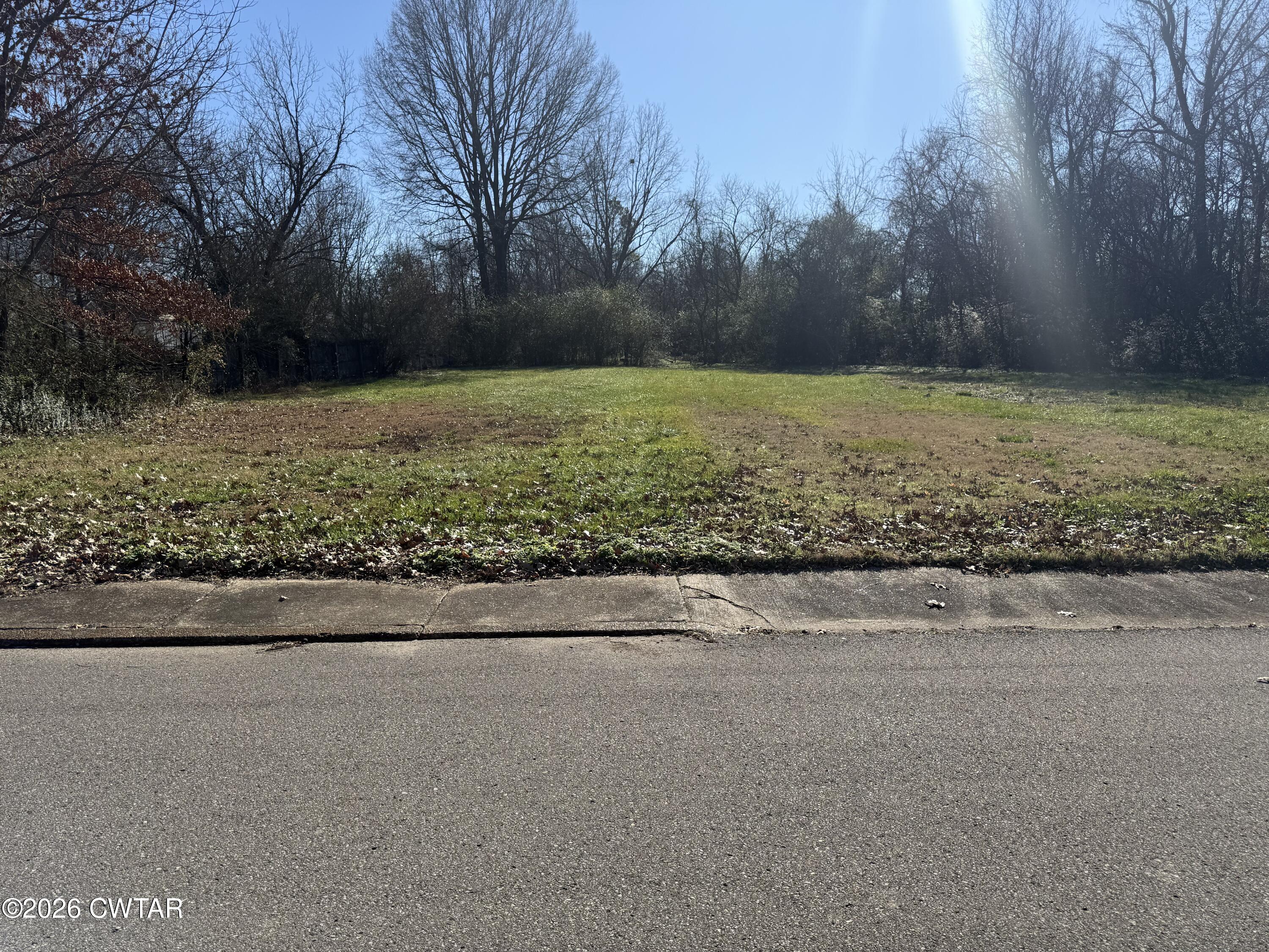 220 Ash Street Jackson, TN 38301 - Photo 2 of 3 a view of a yard with large trees