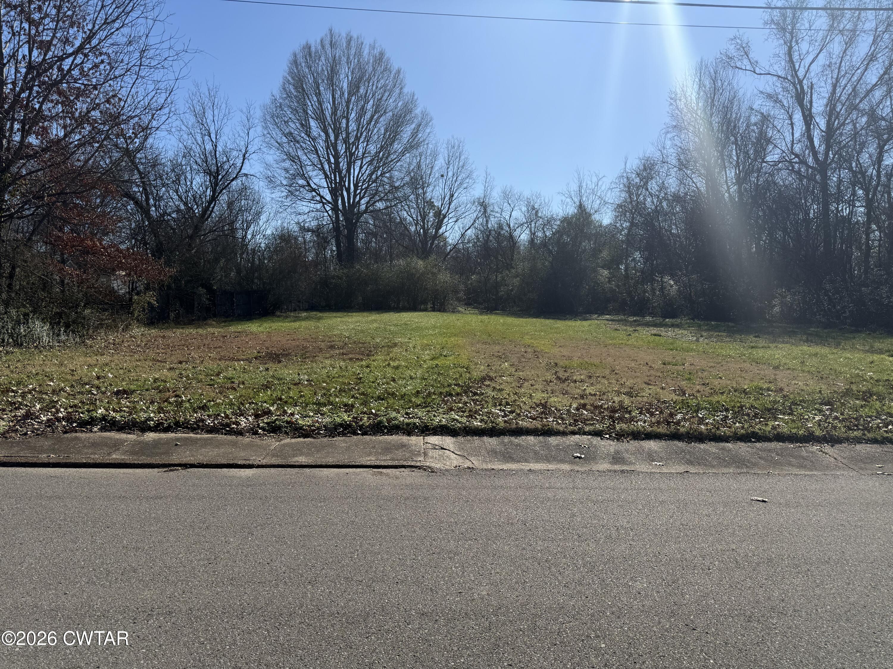 220 Ash Street Jackson, TN 38301 - Photo 3 of 3 a view of a yard