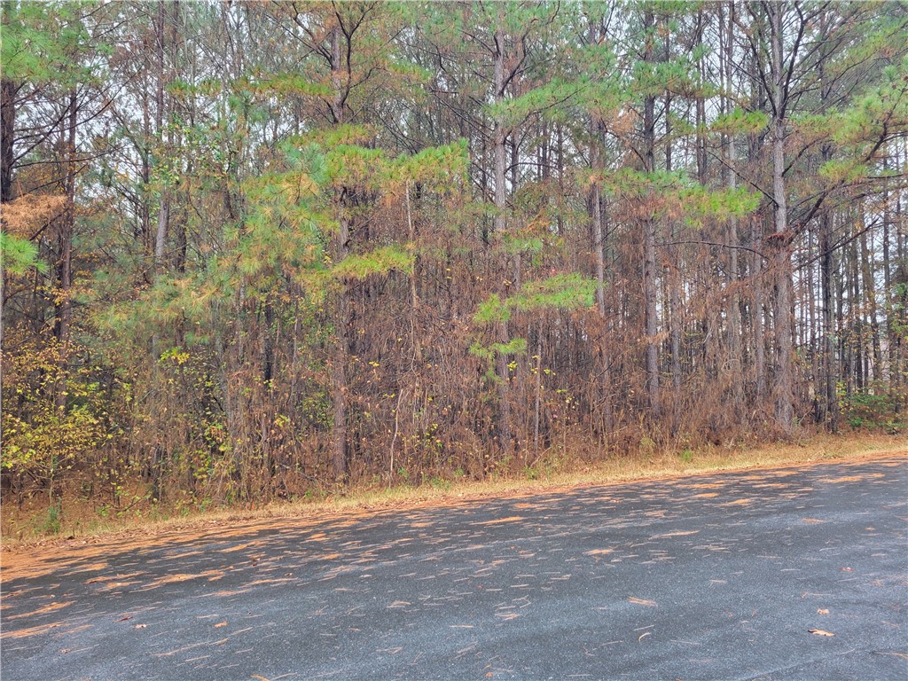 0 Meadow Road Townville, SC 29689 - Photo 3 of 8 Gallery Image 3