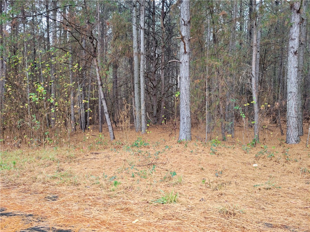 0 Meadow Road Townville, SC 29689 - Photo 8 of 8 Gallery Image 8