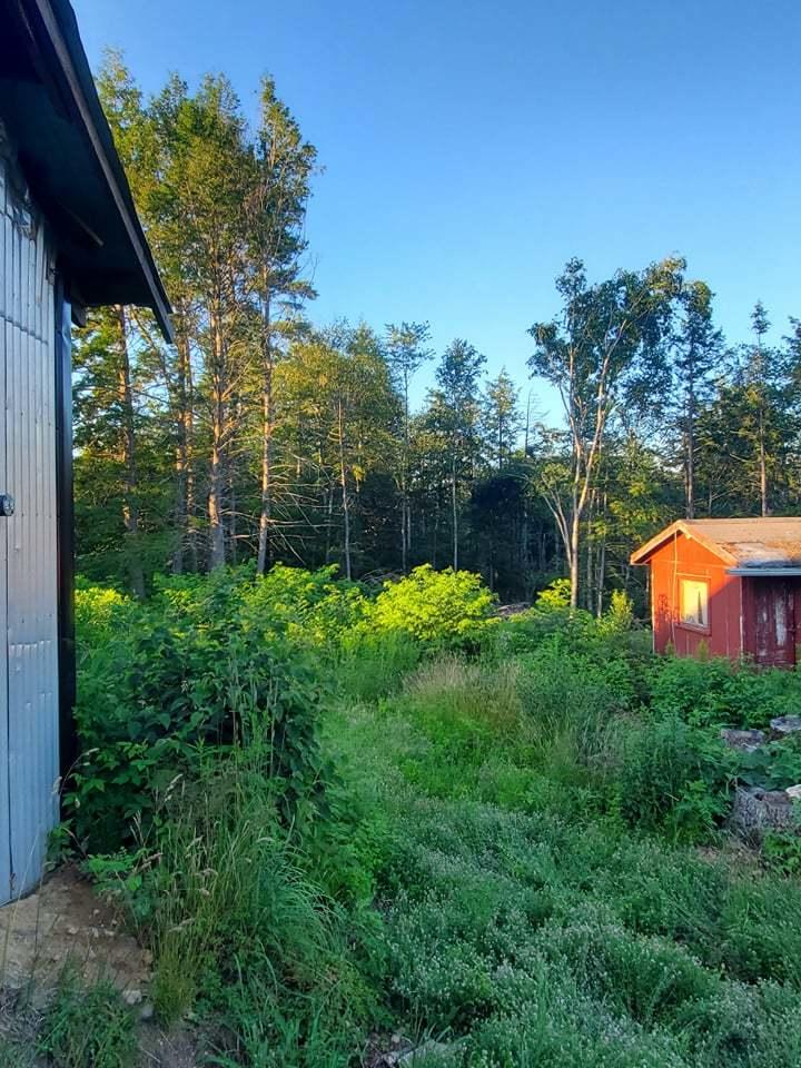 179 Somerville Road Jefferson, ME 04348 - Photo 30 of 41 215067759_821354648515481_40167131421963
