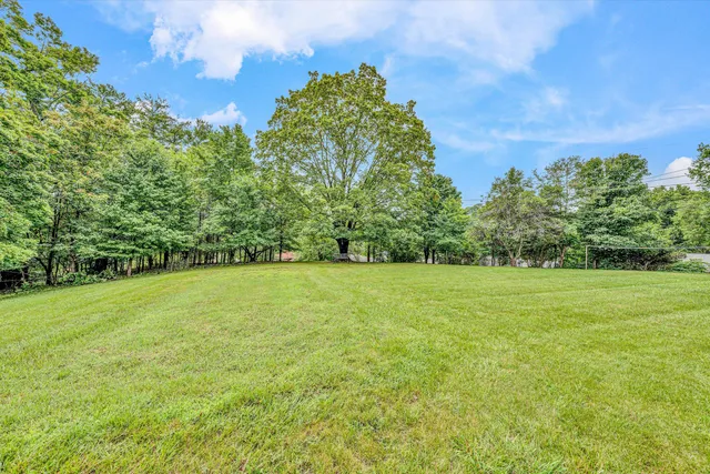 a view of a field with an trees