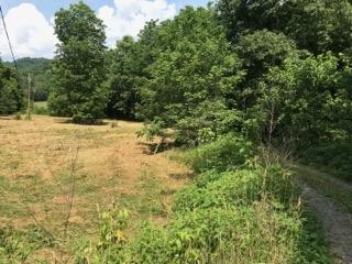 7792 Burks Road Christiana, TN 37037 - Photo 2 of 13 Gallery Image 2