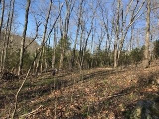 7792 Burks Road Christiana, TN 37037 - Photo 11 of 13 Gallery Image 11