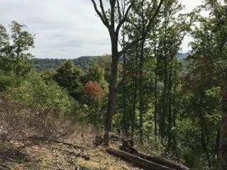 7792 Burks Road Christiana, TN 37037 - Photo 3 of 13 Gallery Image 3