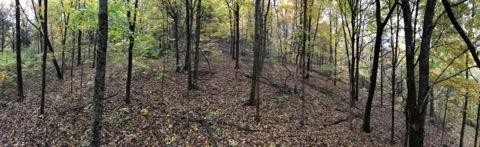 7792 Burks Road Christiana, TN 37037 - Photo 6 of 13 Gallery Image 6