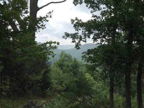 7792 Burks Road Christiana, TN 37037 - Photo 10 of 13 Gallery Image 10