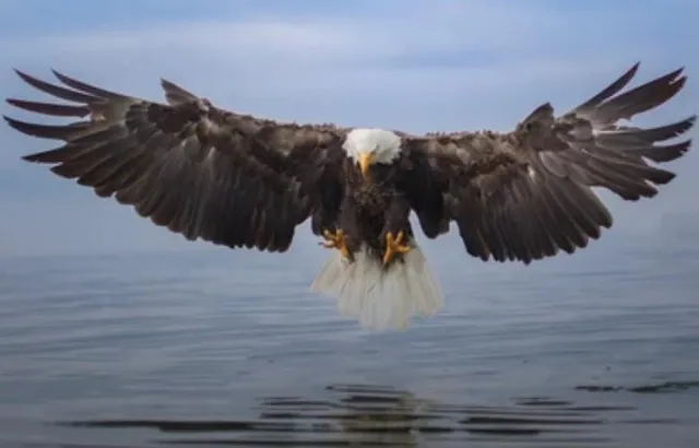 $720,500 | 7930 Eagle Bay Drive, Stover, MO 65078