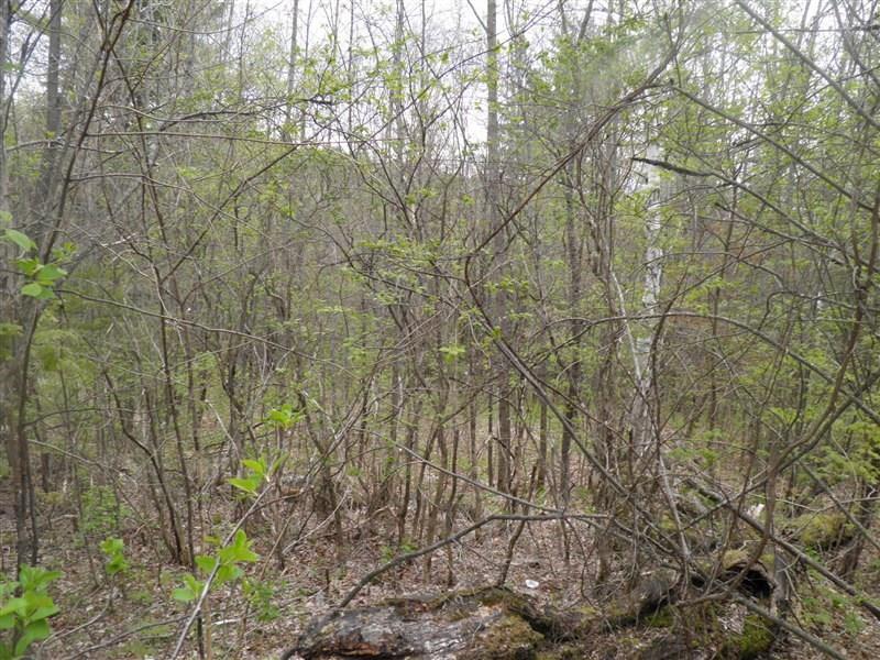 128 Wheeler Hill Road Phillips, ME 04966 - Photo 11 of 16 Photo