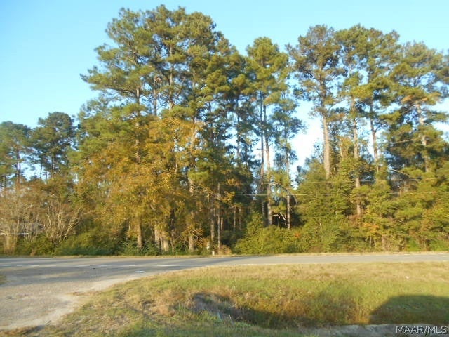 0 State Highway Newton, AL 36352 - Photo 1 of 1 Gallery Image 1