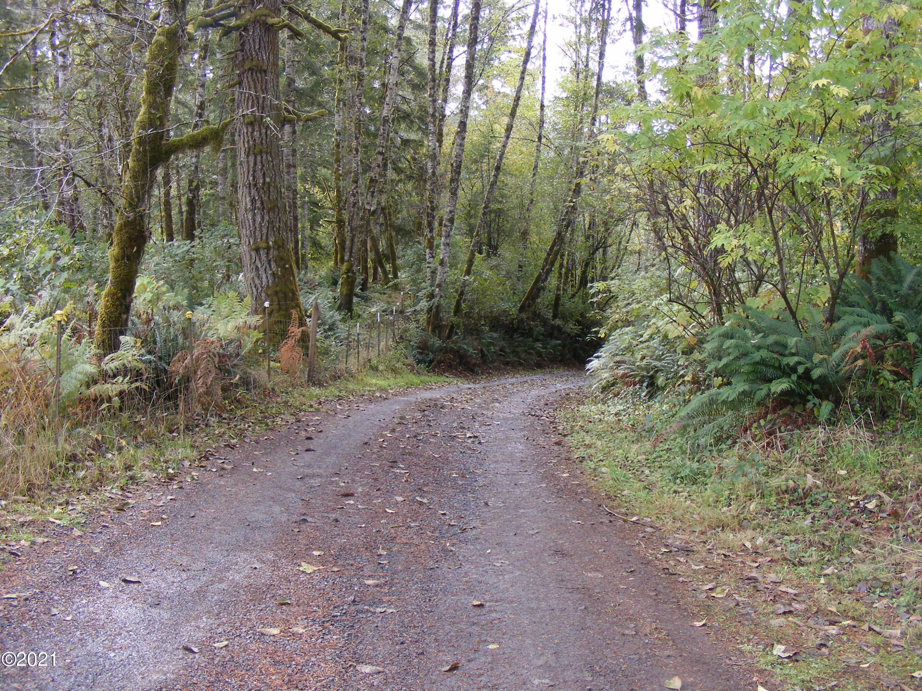 2700 Logsden Road Siletz, OR 97380 - Photo 7 of 7 007