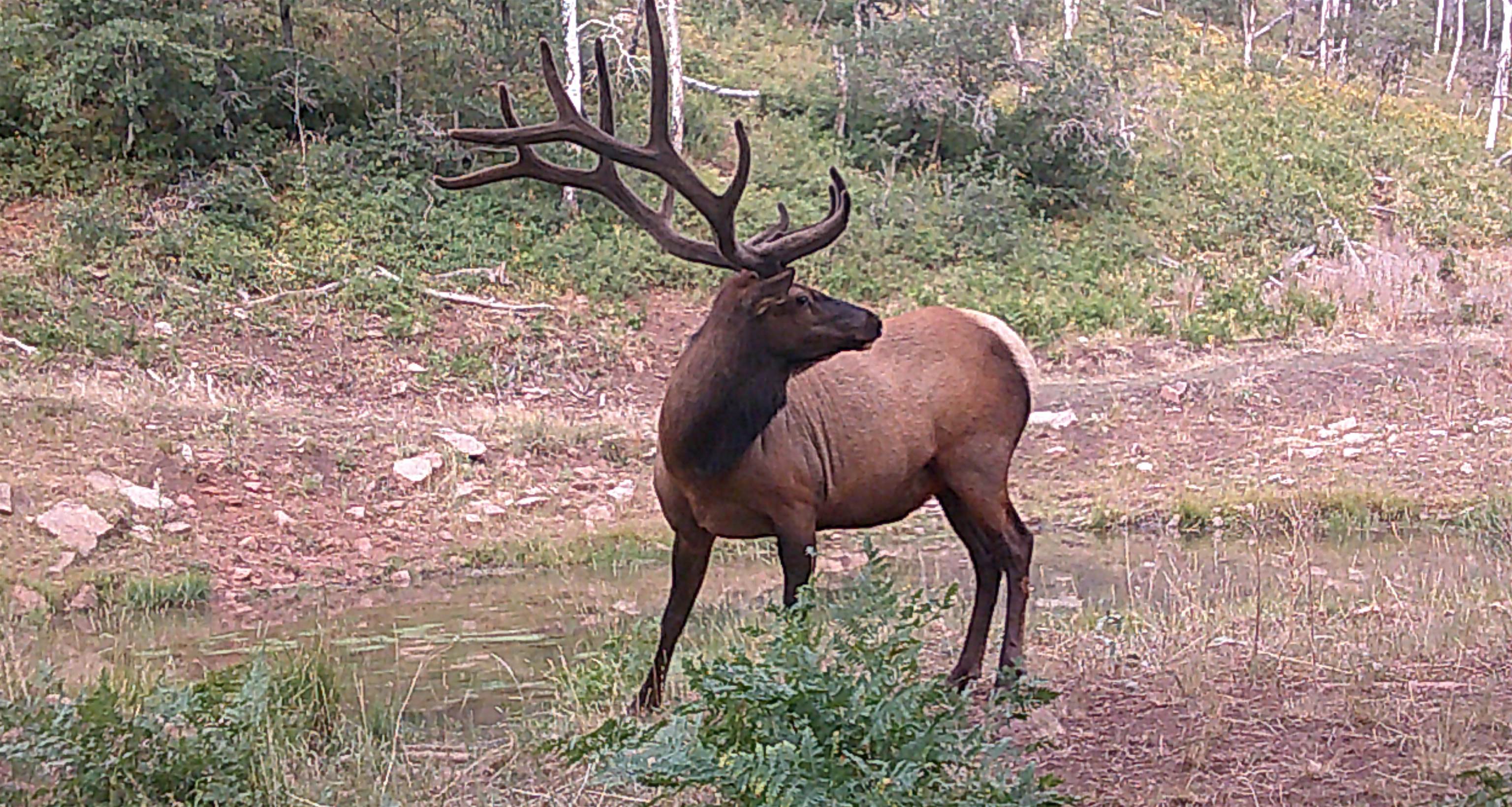 Tbd Tbd Ms Road Glade Park, CO 81523 - Photo 14 of 20