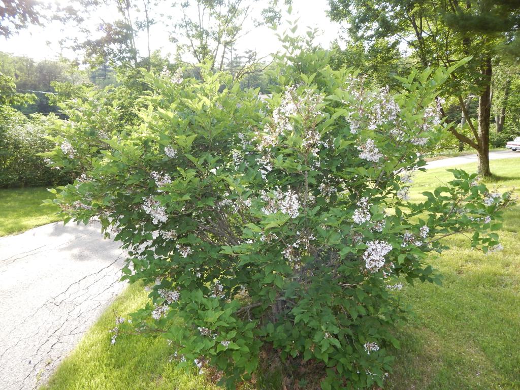 127 Highbridge Road New Ipswich, NH 03071 - Photo 18 of 23