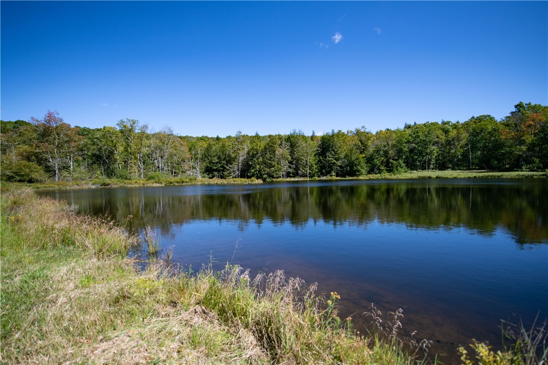 Terwilliger Road Livingston Manor, NY 12758 - Photo 8 of 10 Gallery Image 8