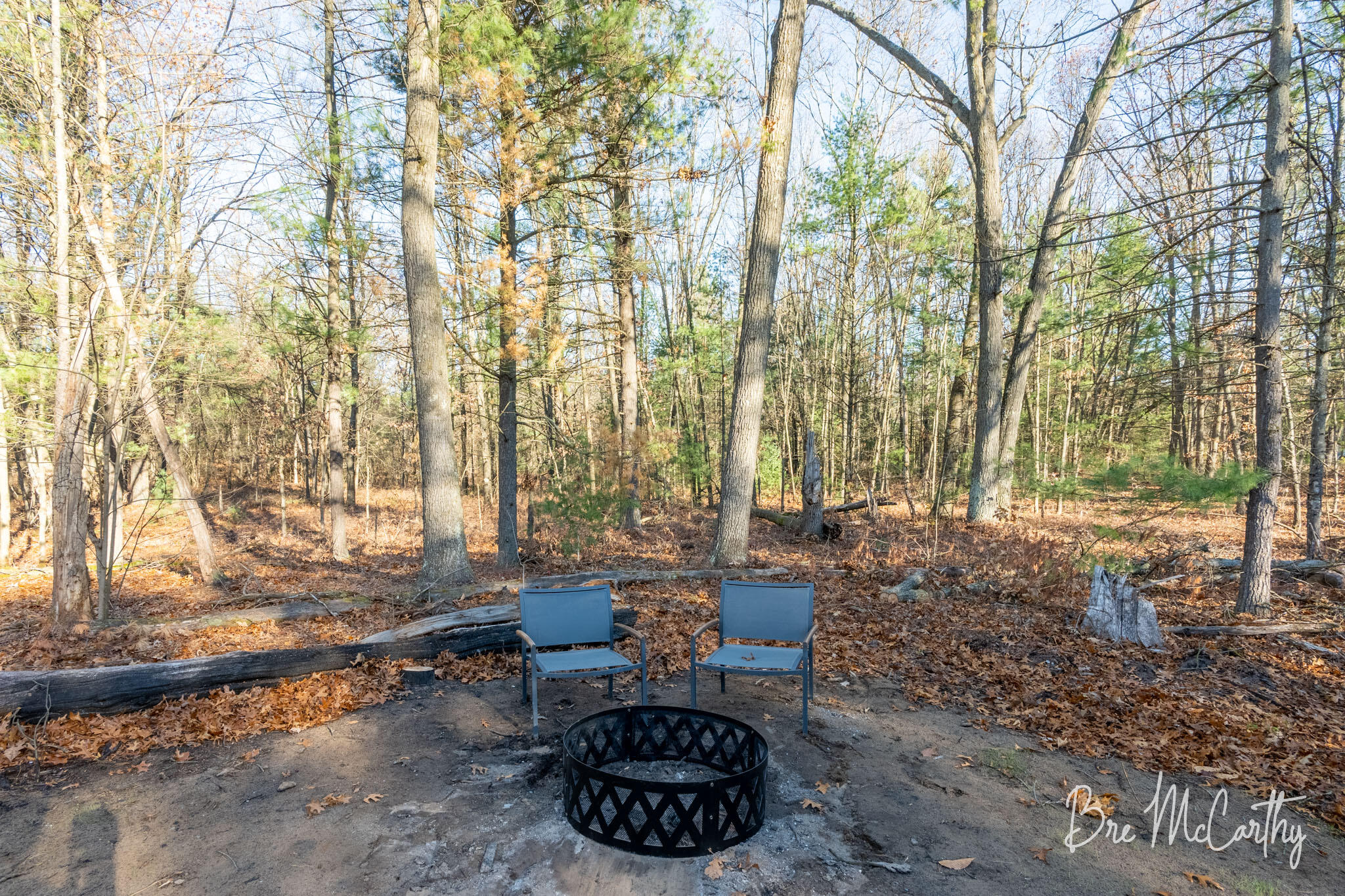 928 East River Road Muskegon, MI 49445 - Photo 47 of 62 Backyard