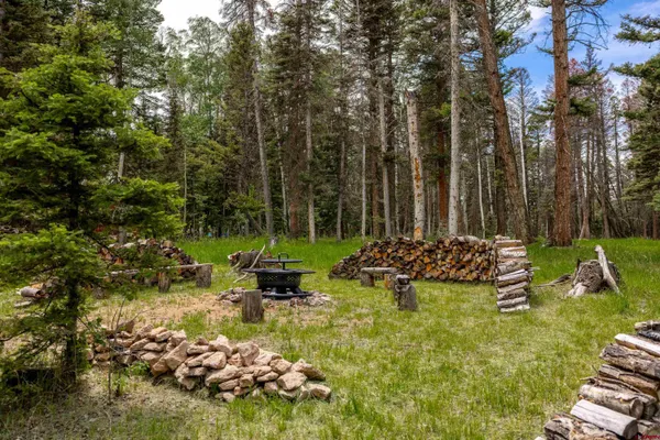 $119,700 | 601 Balsam Road, Cimarron, CO 81220