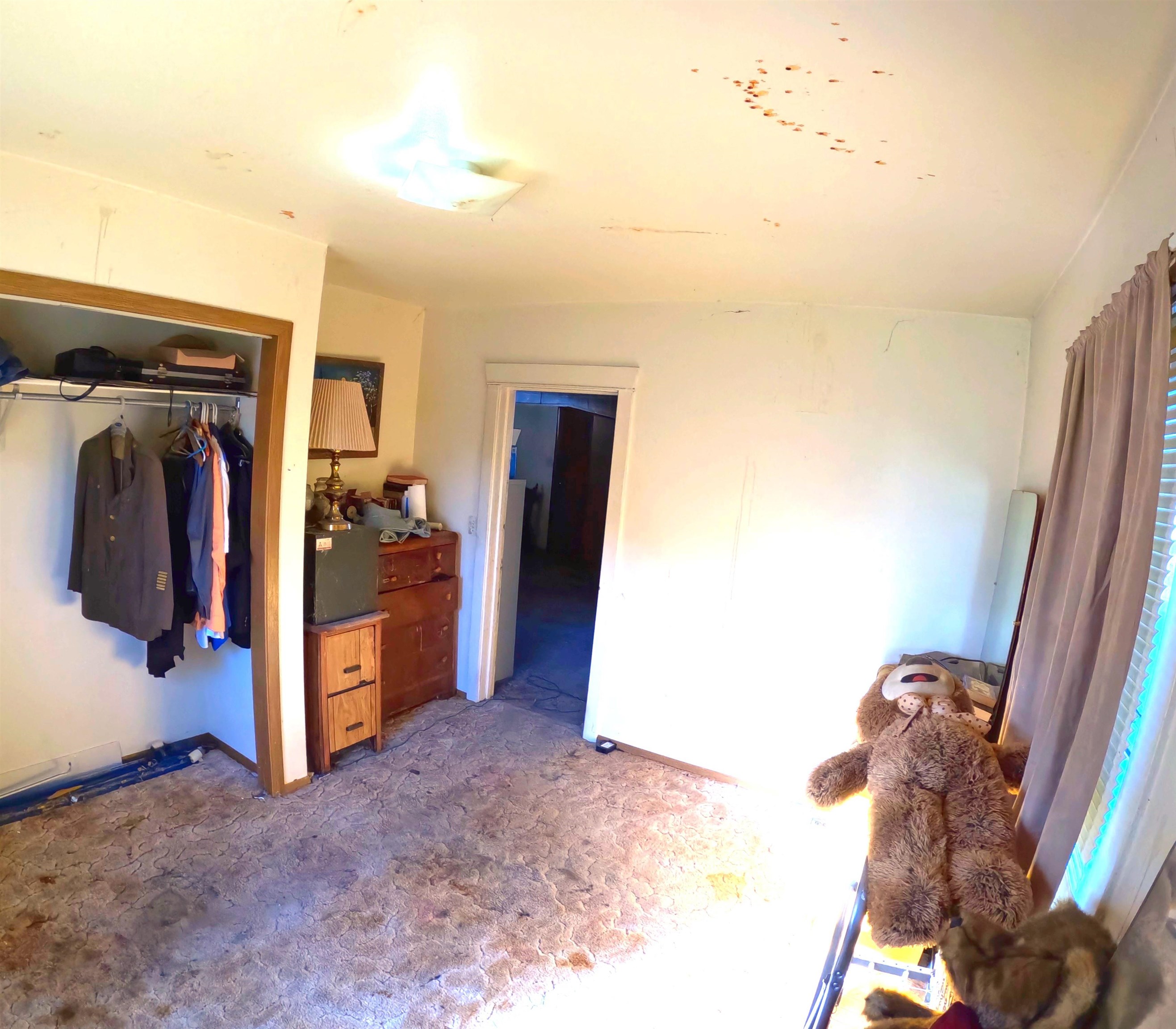 423 South Evergreen Road Spokane, WA 99216 - Photo 17 of 22