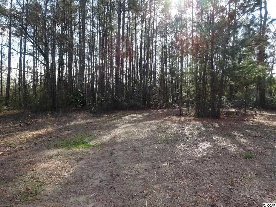 .49-acres Willow Springs Road Conway, SC 29527 - Photo 1 of 4 Gallery Image 1