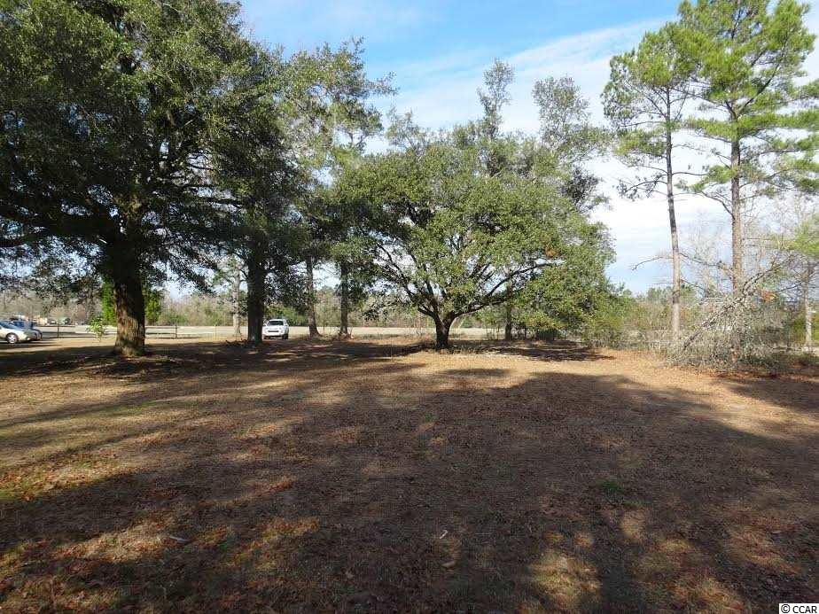 .49-acres Willow Springs Road Conway, SC 29527 - Photo 3 of 4 Gallery Image 3