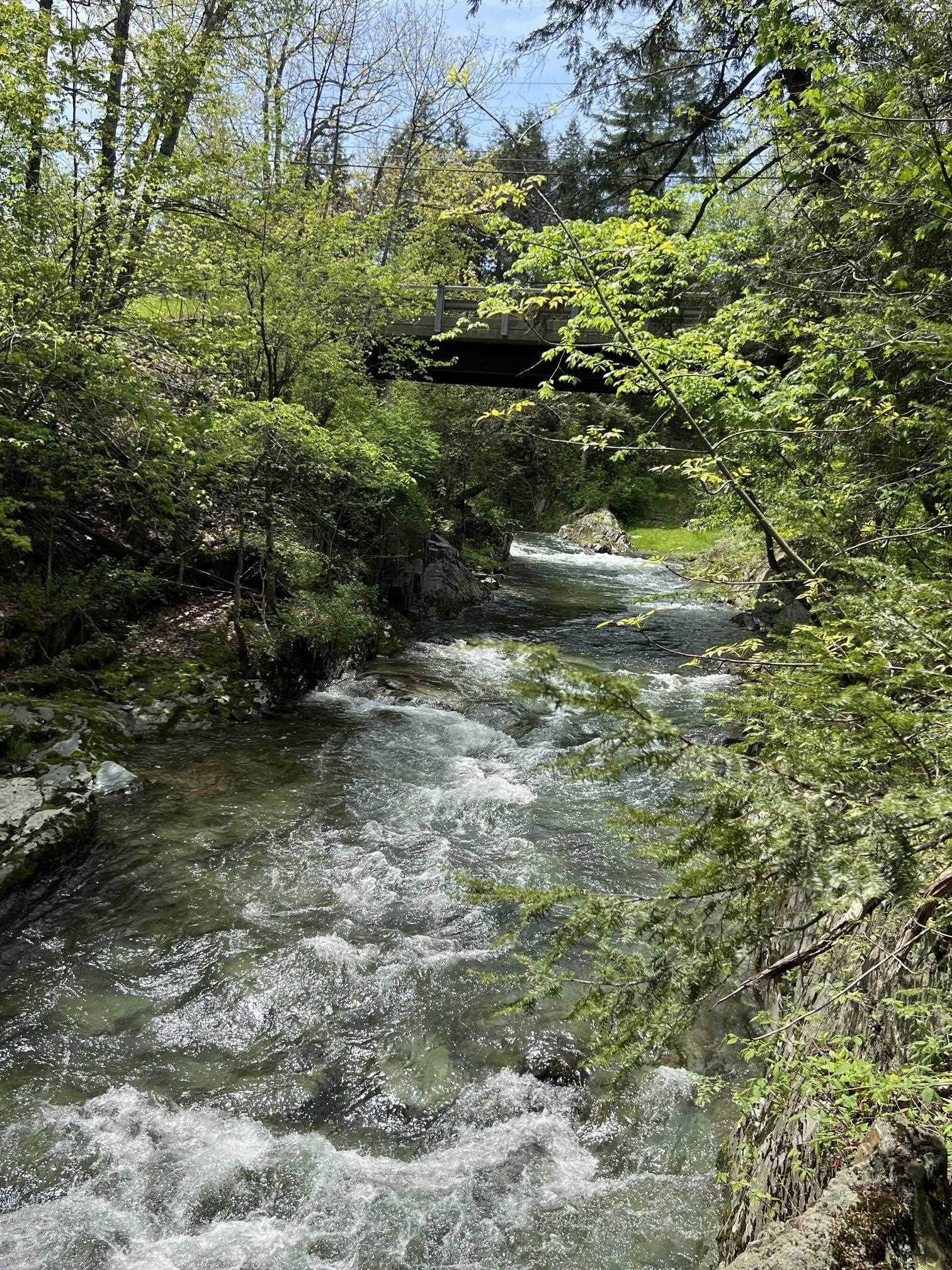 228 Button Falls Road Pawlet, VT 05775 - Photo 15 of 39