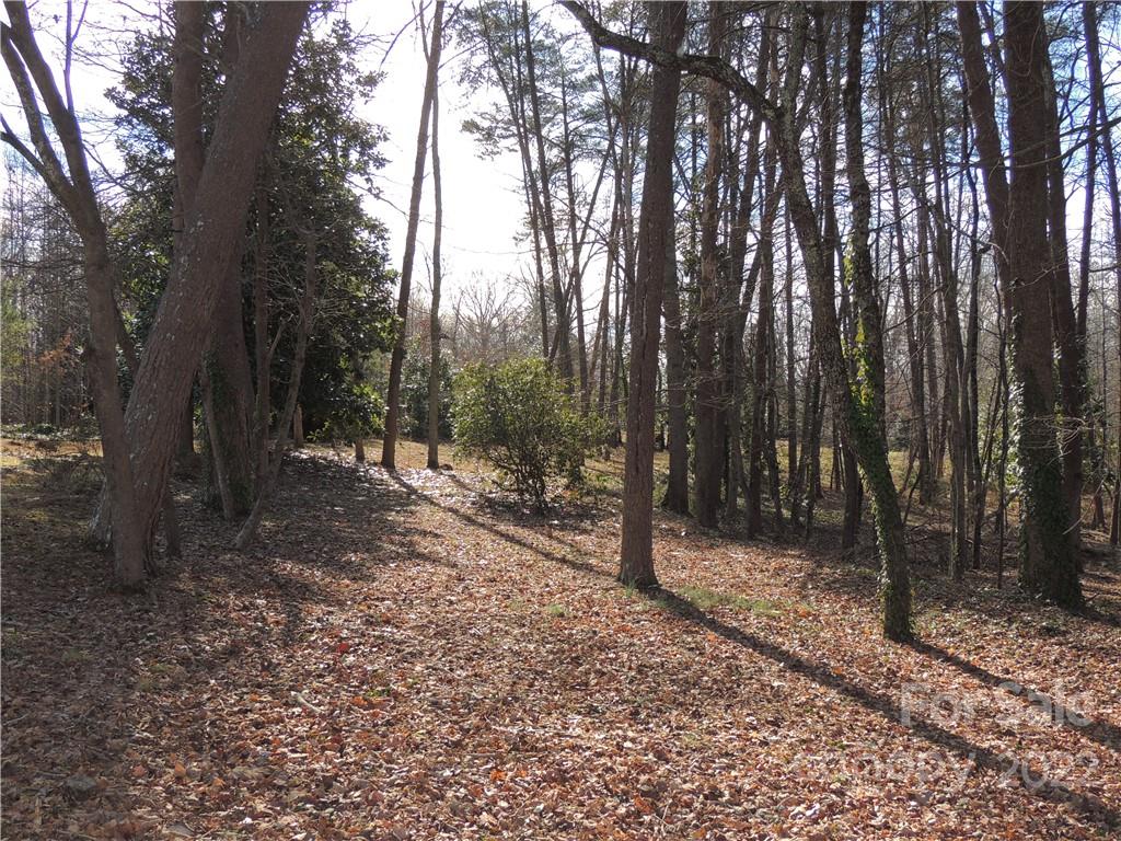 209 West Mountain Street Rutherfordton, NC 28139 - Photo 30 of 31 Gallery Image 30