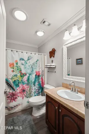 a bathroom with a sink mirror and vanity