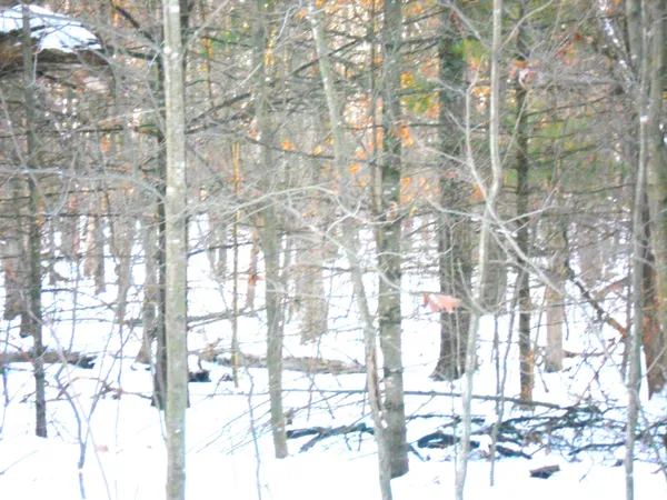 $39,000 | 1.34-ac 1.34-ac Czech, Friendship, WI 53934