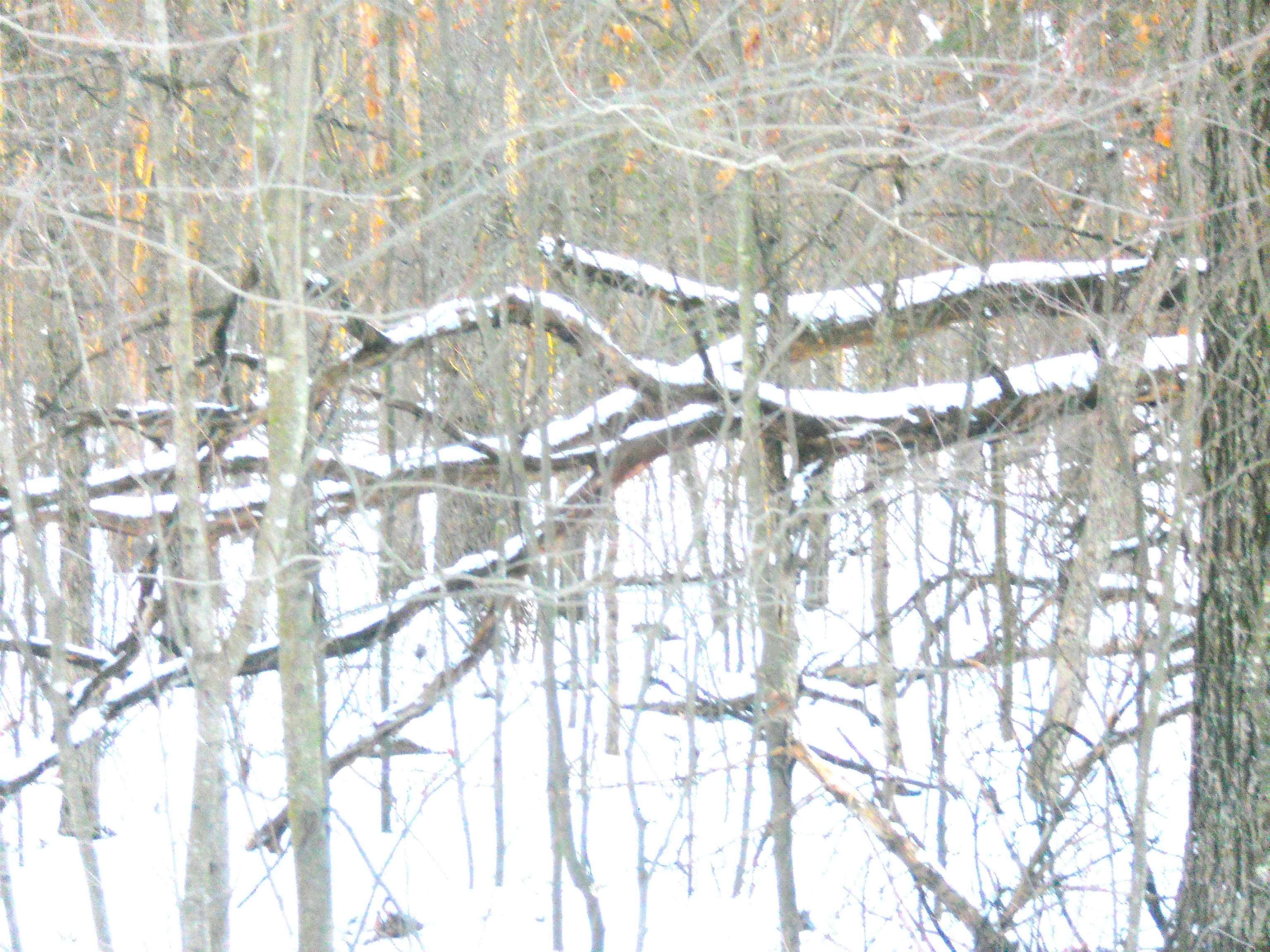 1.34-ac 1.34-ac Czech Friendship, WI 53934 - Photo 2 of 5