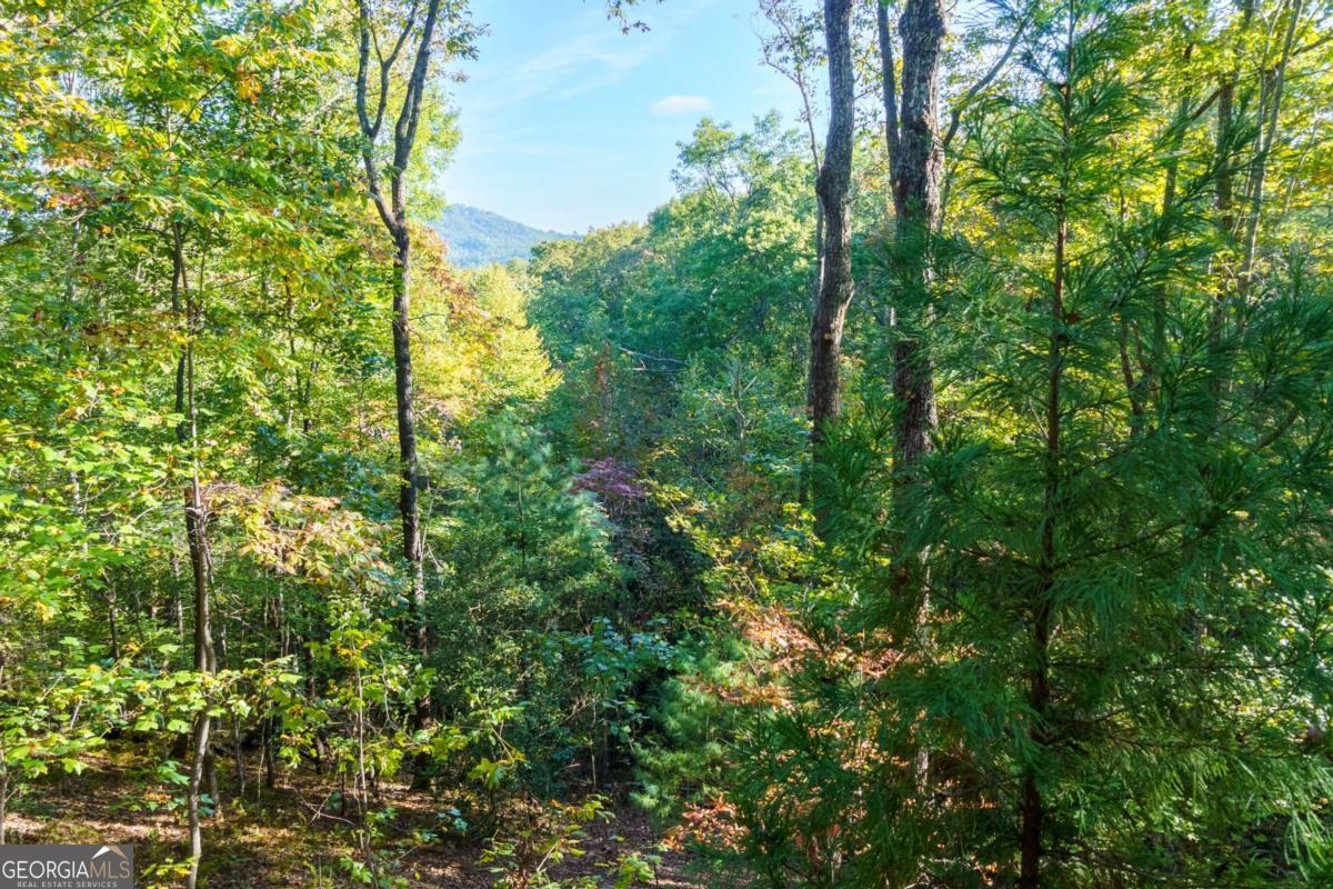 24 Casey Court Blue Ridge, GA 30513 - Photo 32 of 54 a view of a garden