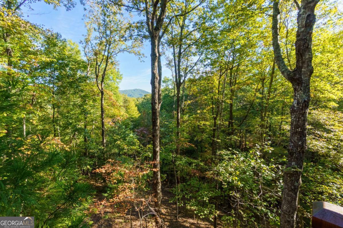 24 Casey Court Blue Ridge, GA 30513 - Photo 33 of 54