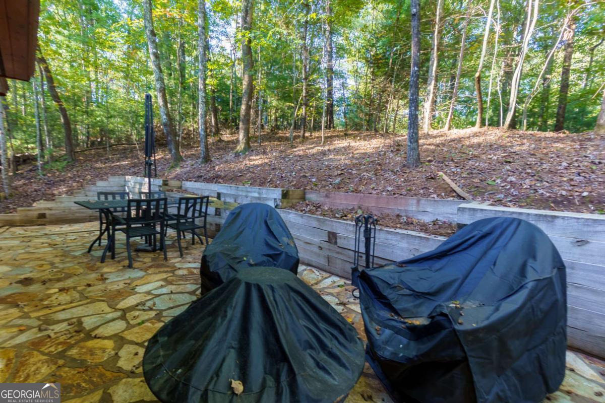 24 Casey Court Blue Ridge, GA 30513 - Photo 44 of 54 a view of a backyard with sitting area