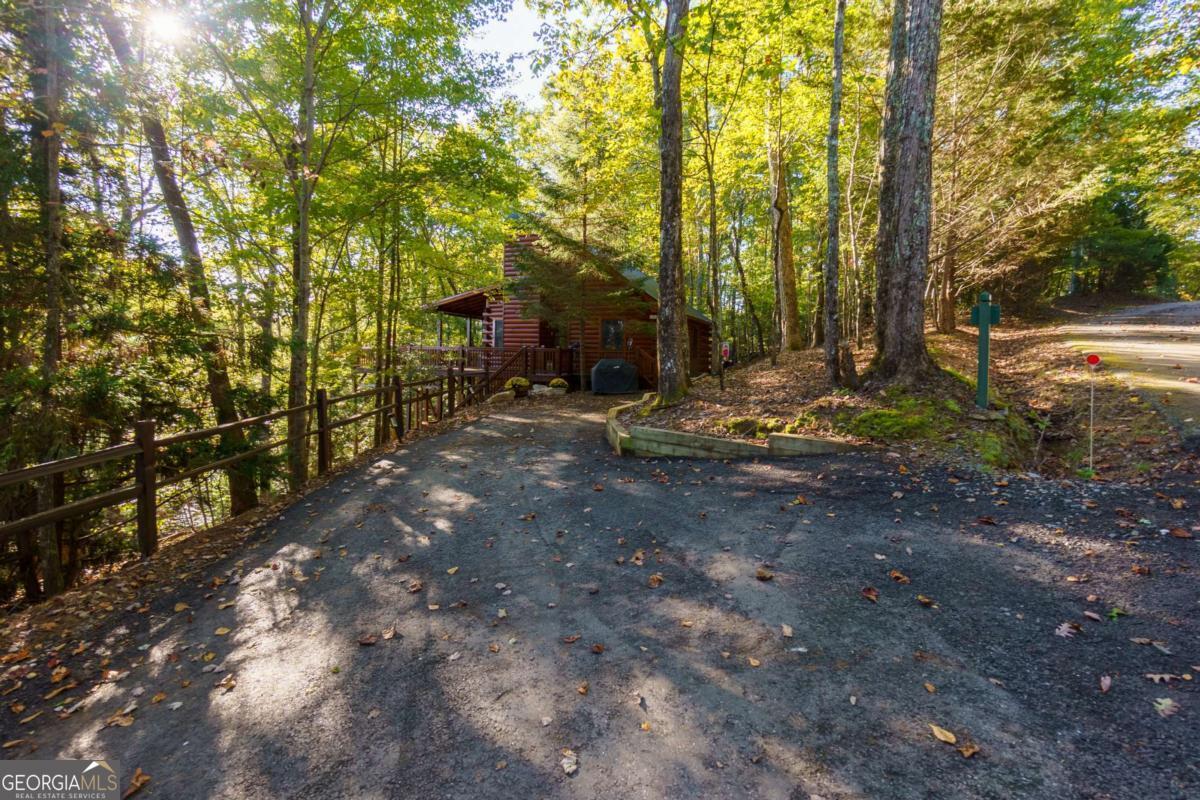 24 Casey Court Blue Ridge, GA 30513 - Photo 48 of 54 a view of a tree in the middle of a yard