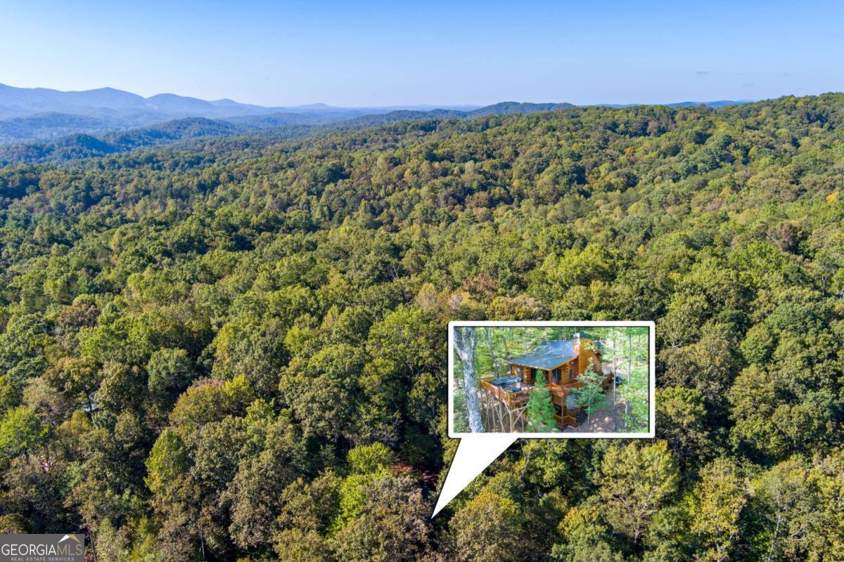 24 Casey Court Blue Ridge, GA 30513 - Photo 50 of 54 a view of a large tree with a yard