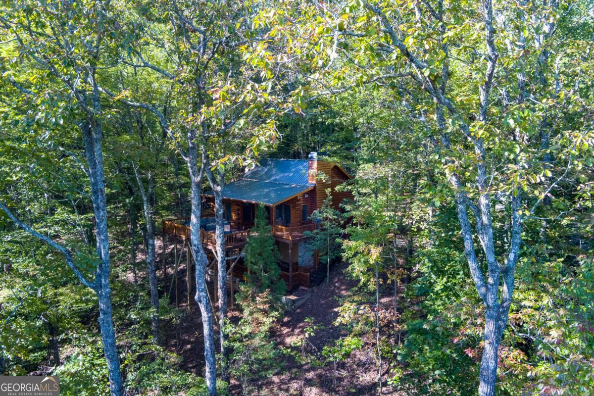 24 Casey Court Blue Ridge, GA 30513 - Photo 51 of 54 a view of a house with a tree