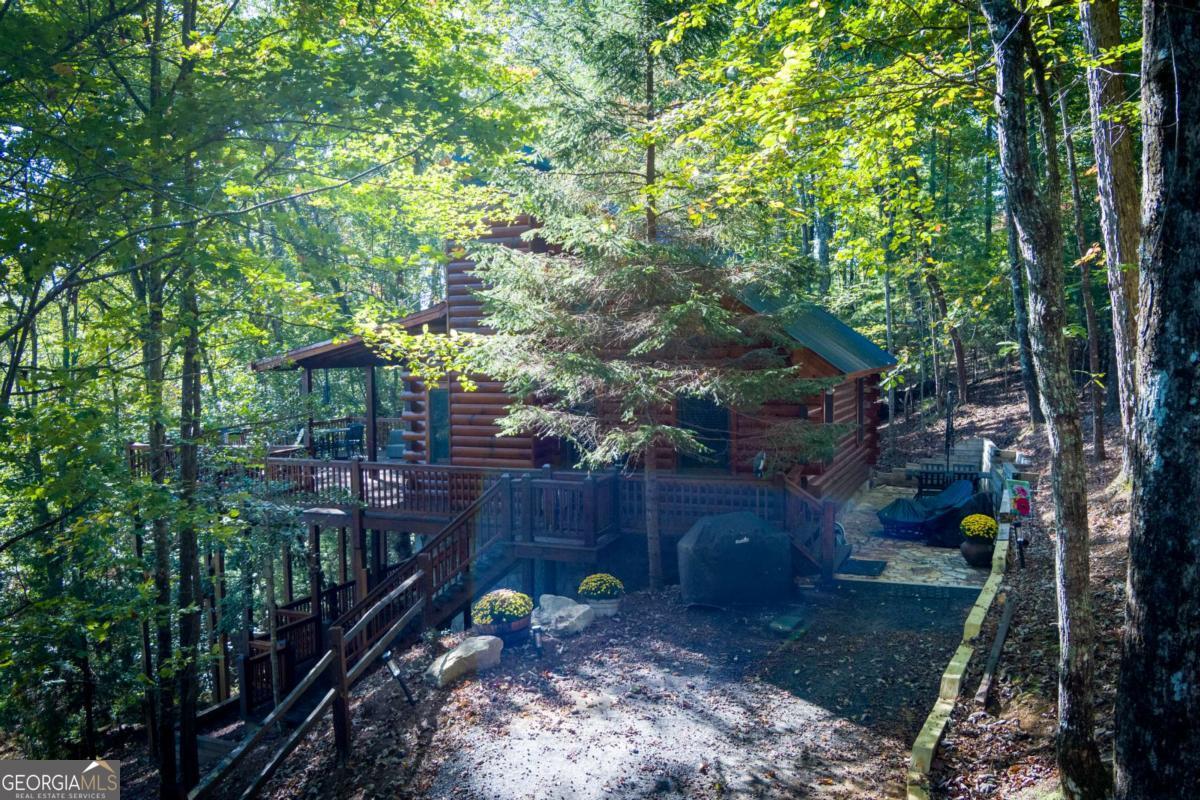 24 Casey Court Blue Ridge, GA 30513 - Photo 53 of 54 a view of a backyard with plants and trees