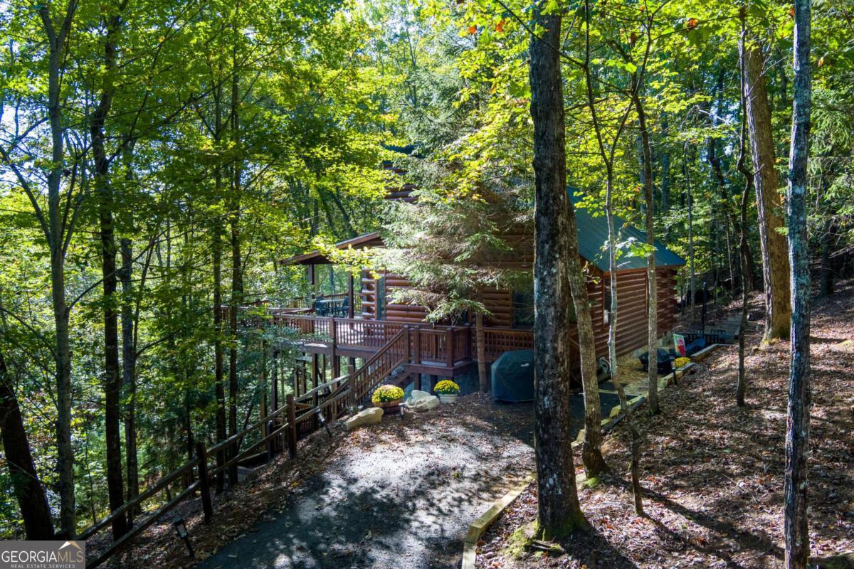 24 Casey Court Blue Ridge, GA 30513 - Photo 54 of 54 a backyard of a house with lots of green space