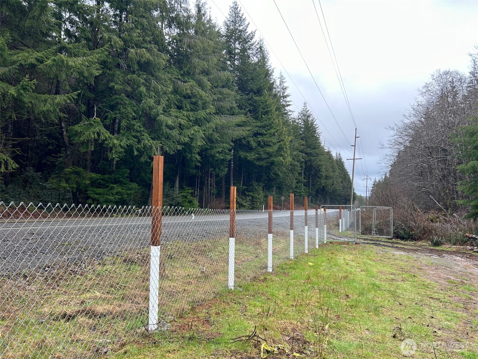 155 Ocean Beach Road Hoquiam, WA 98550 - Photo 12 of 21 a backyard of a house with lots of green space