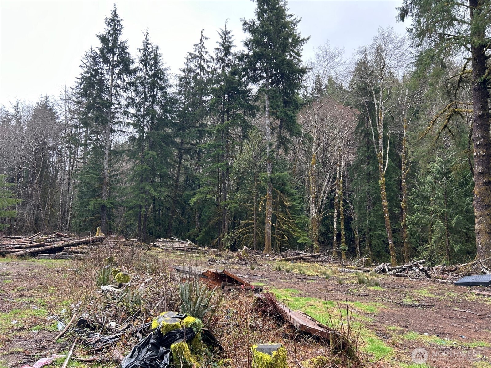 155 Ocean Beach Road Hoquiam, WA 98550 - Photo 9 of 21 a view of outdoor space with trees