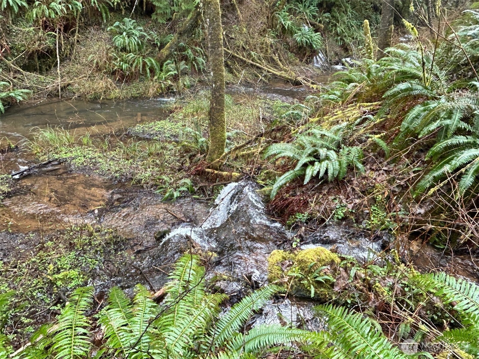 155 Ocean Beach Road Hoquiam, WA 98550 - Photo 10 of 21 a backyard of a house with a garden