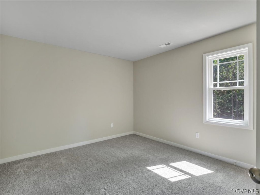12031 Corte Castle Road Chesterfield, VA 23838 - Photo 19 of 28 Gallery Image 19