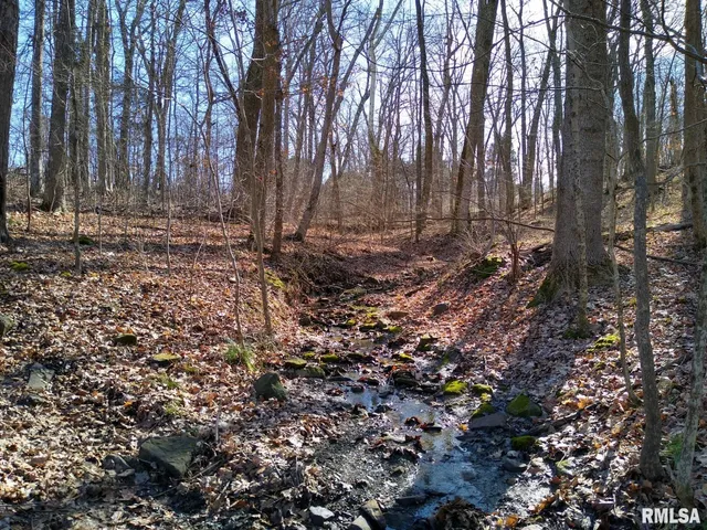 $25,000 | 400 Walker Drive, Vienna, IL 62995