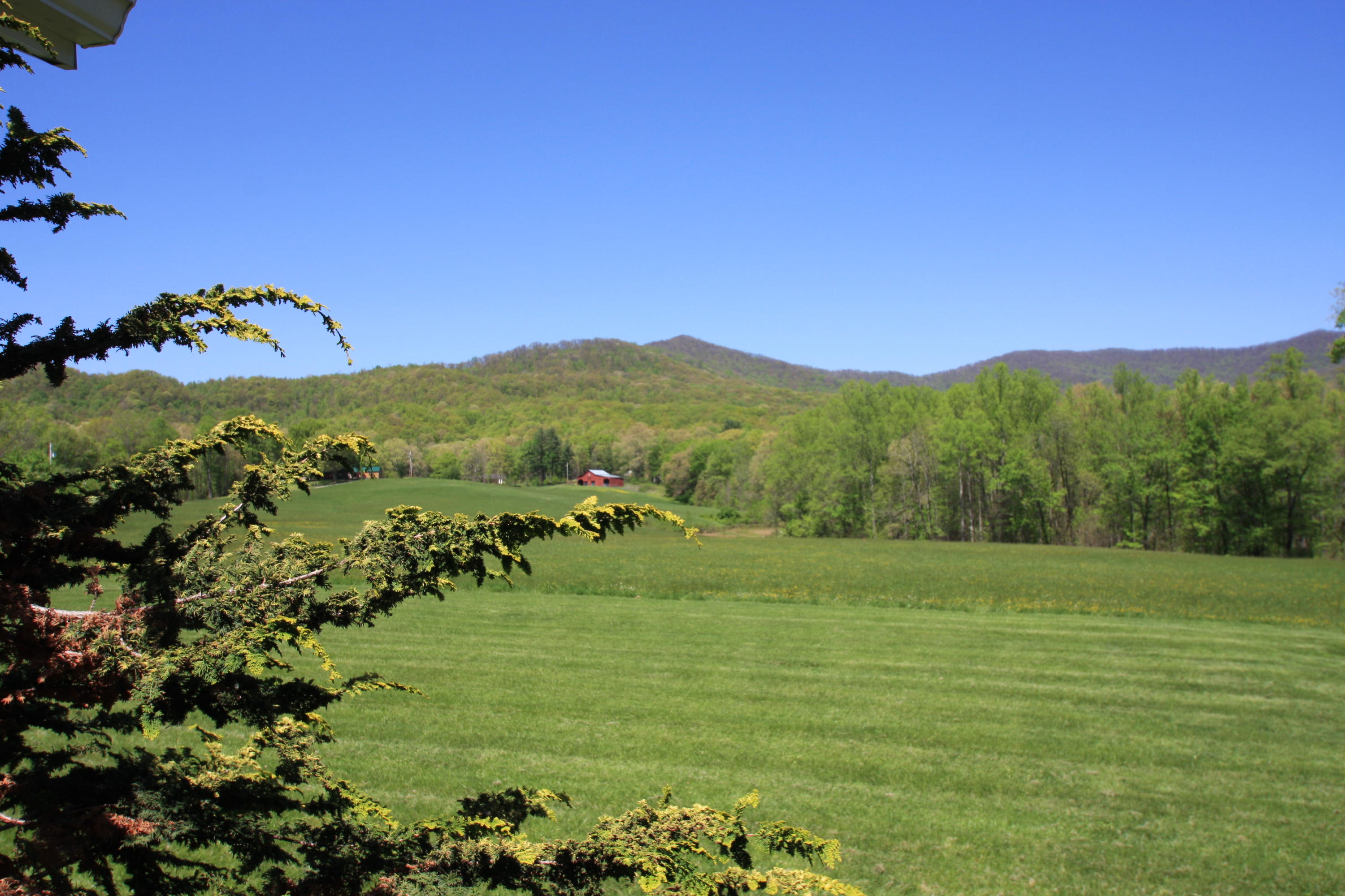172 Ccc Road Wartburg, TN 37887 - Photo 3 of 35 Front View from Porch