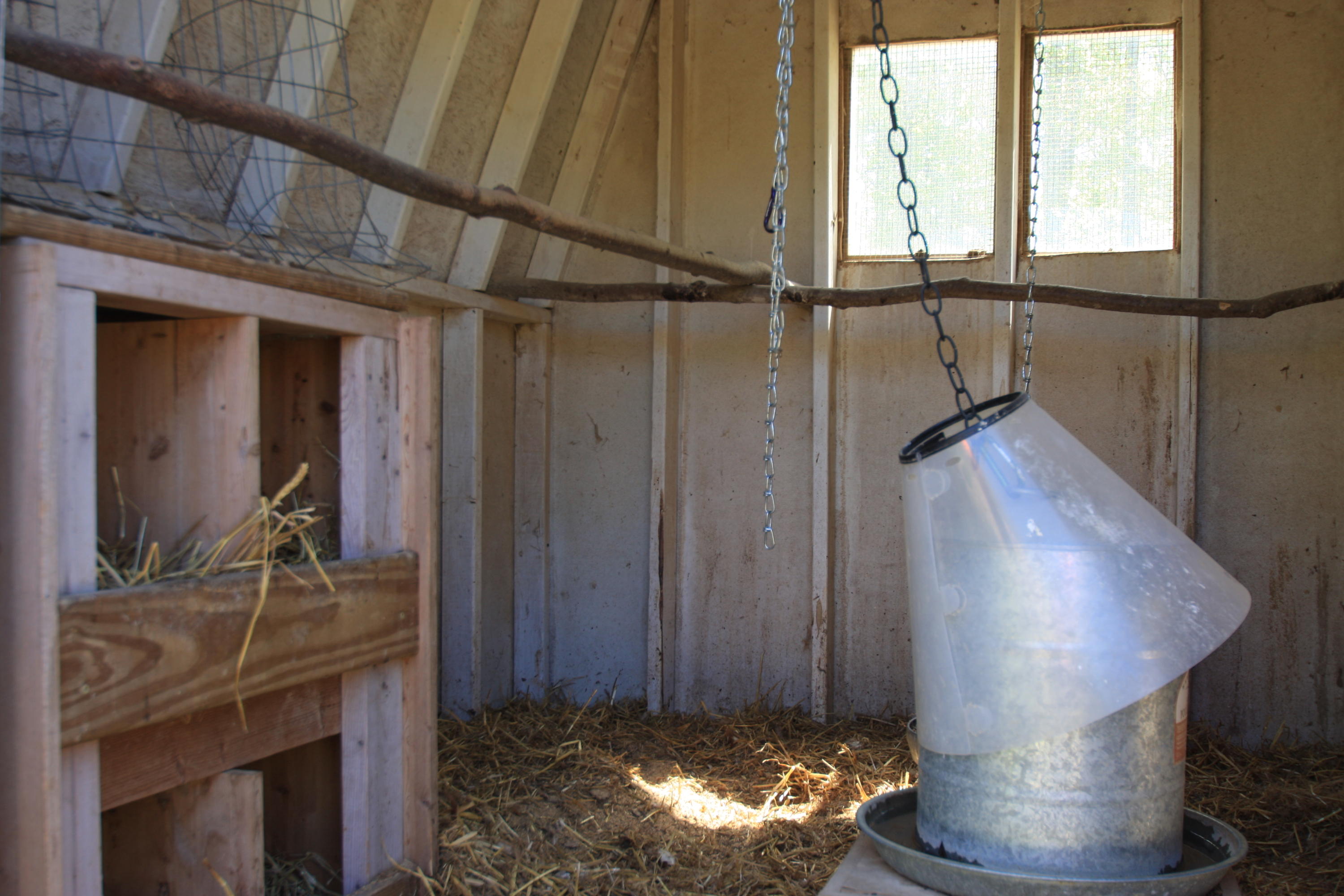 172 Ccc Road Wartburg, TN 37887 - Photo 28 of 35 Fit for a King Chicken