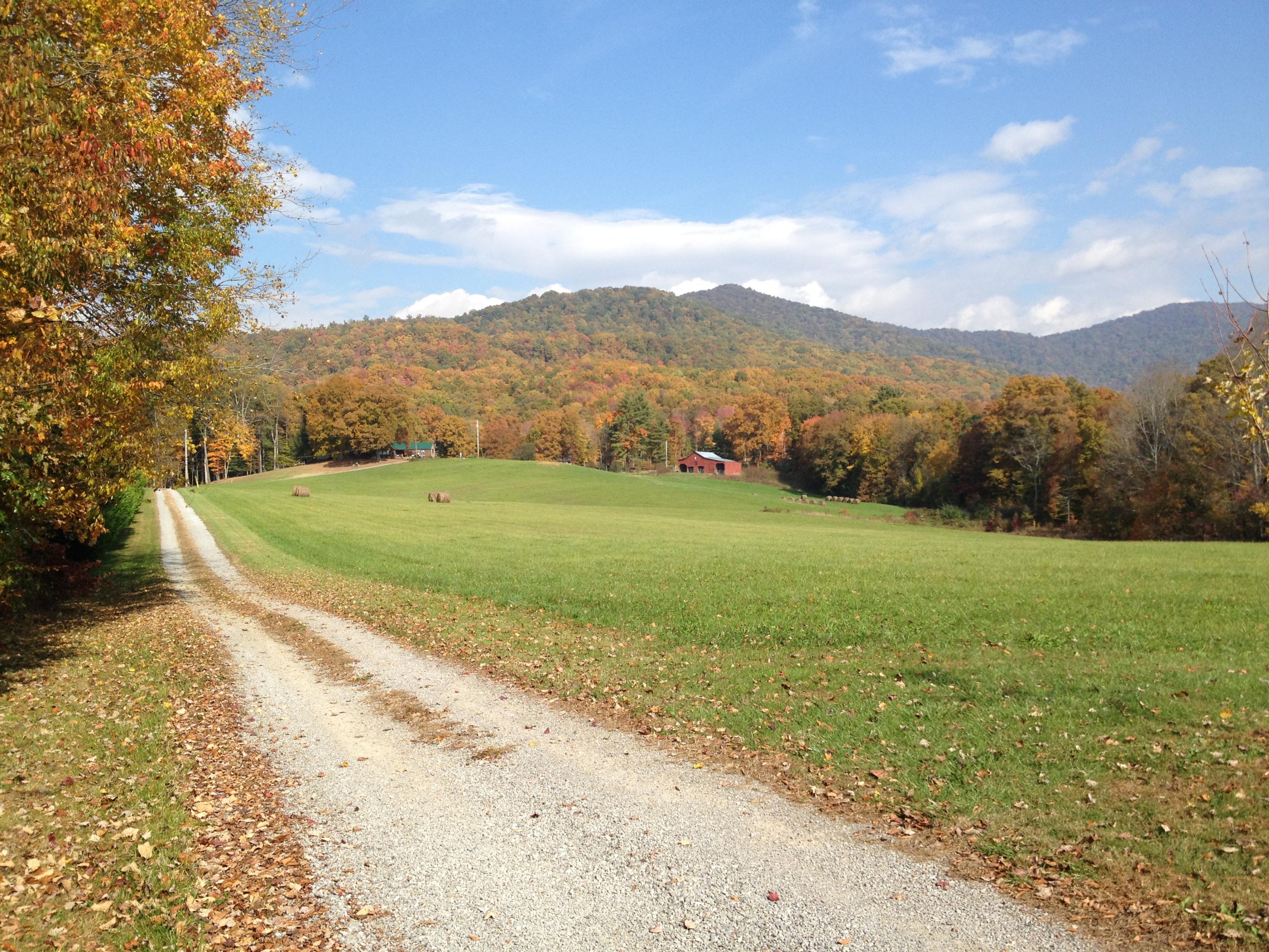 172 Ccc Road Wartburg, TN 37887 - Photo 4 of 35 Fall View