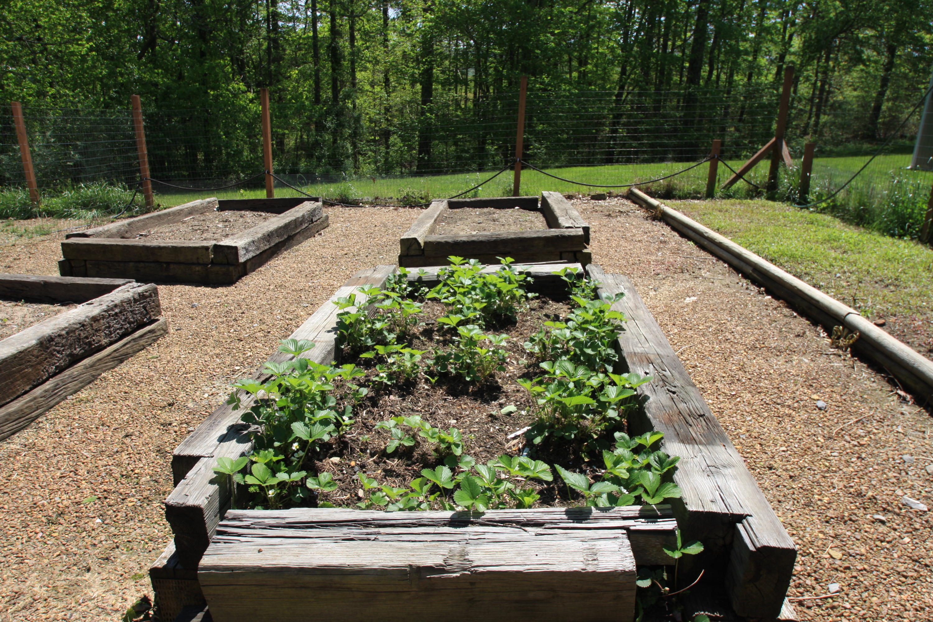 172 Ccc Road Wartburg, TN 37887 - Photo 31 of 35 Raised Beds