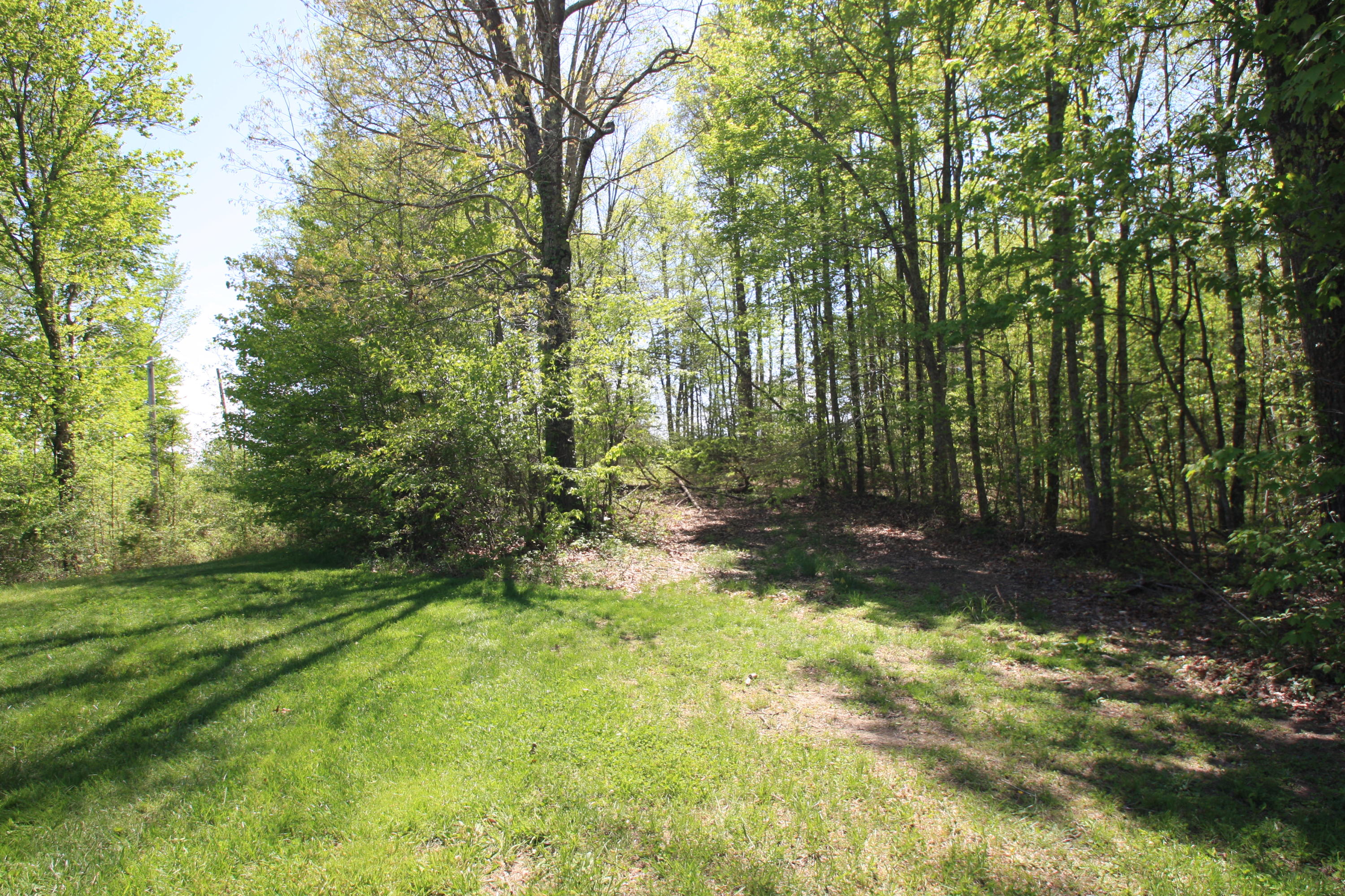 172 Ccc Road Wartburg, TN 37887 - Photo 35 of 35 Back View