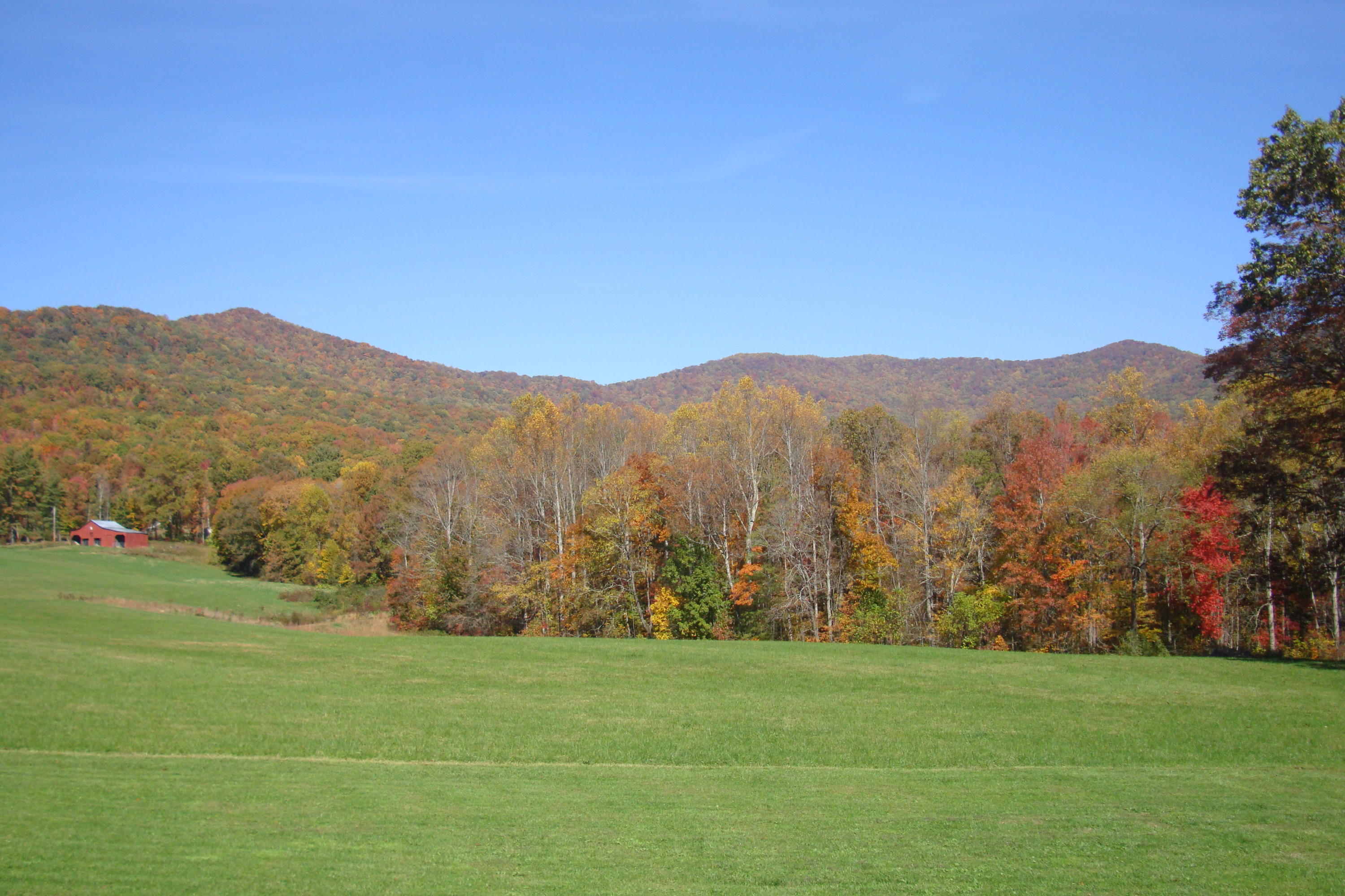 172 Ccc Road Wartburg, TN 37887 - Photo 5 of 35 Fall View