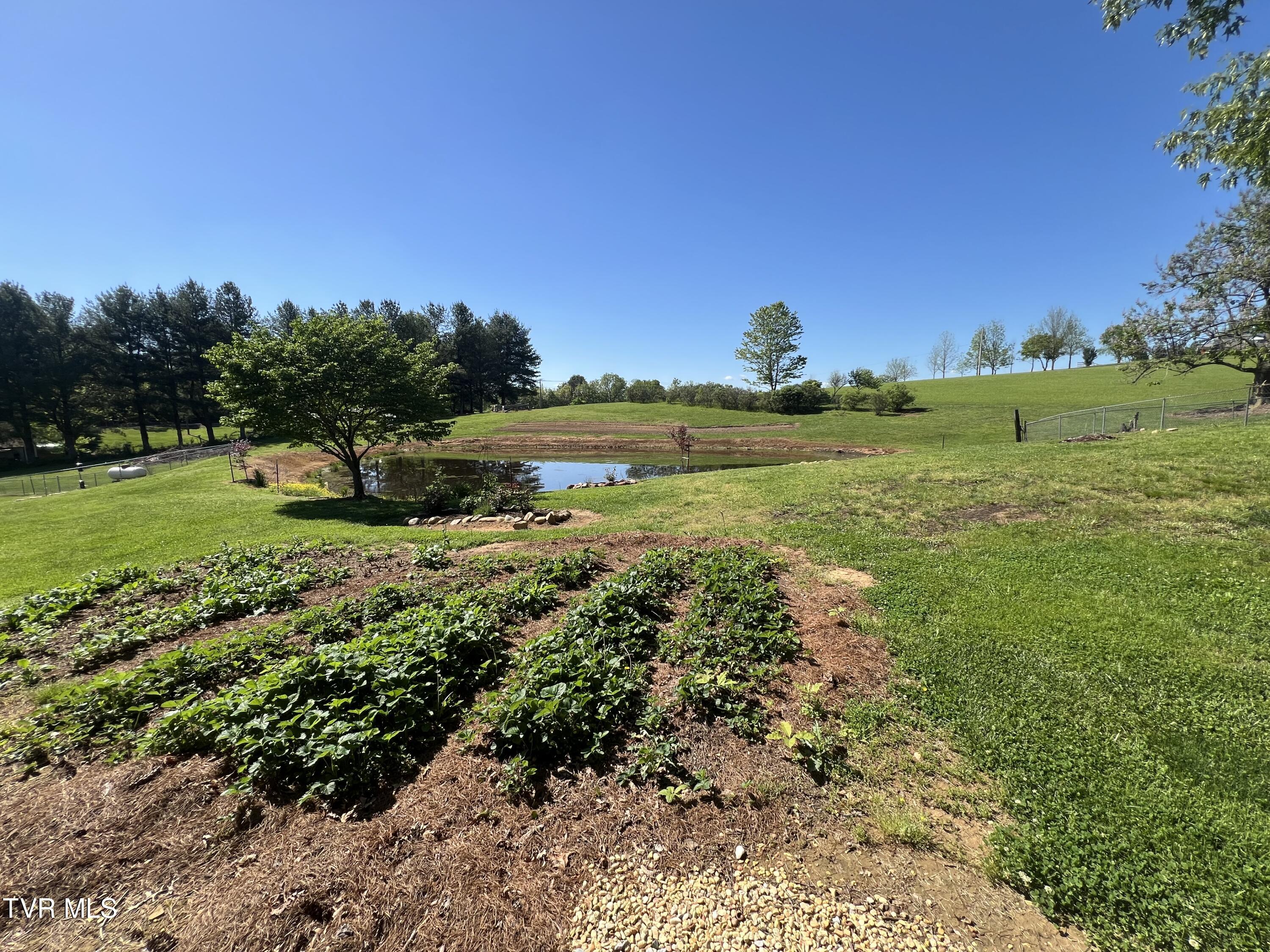 145 East Allens Bridge Road Greeneville, TN 37743 - Photo 11 of 63 IMG_6507