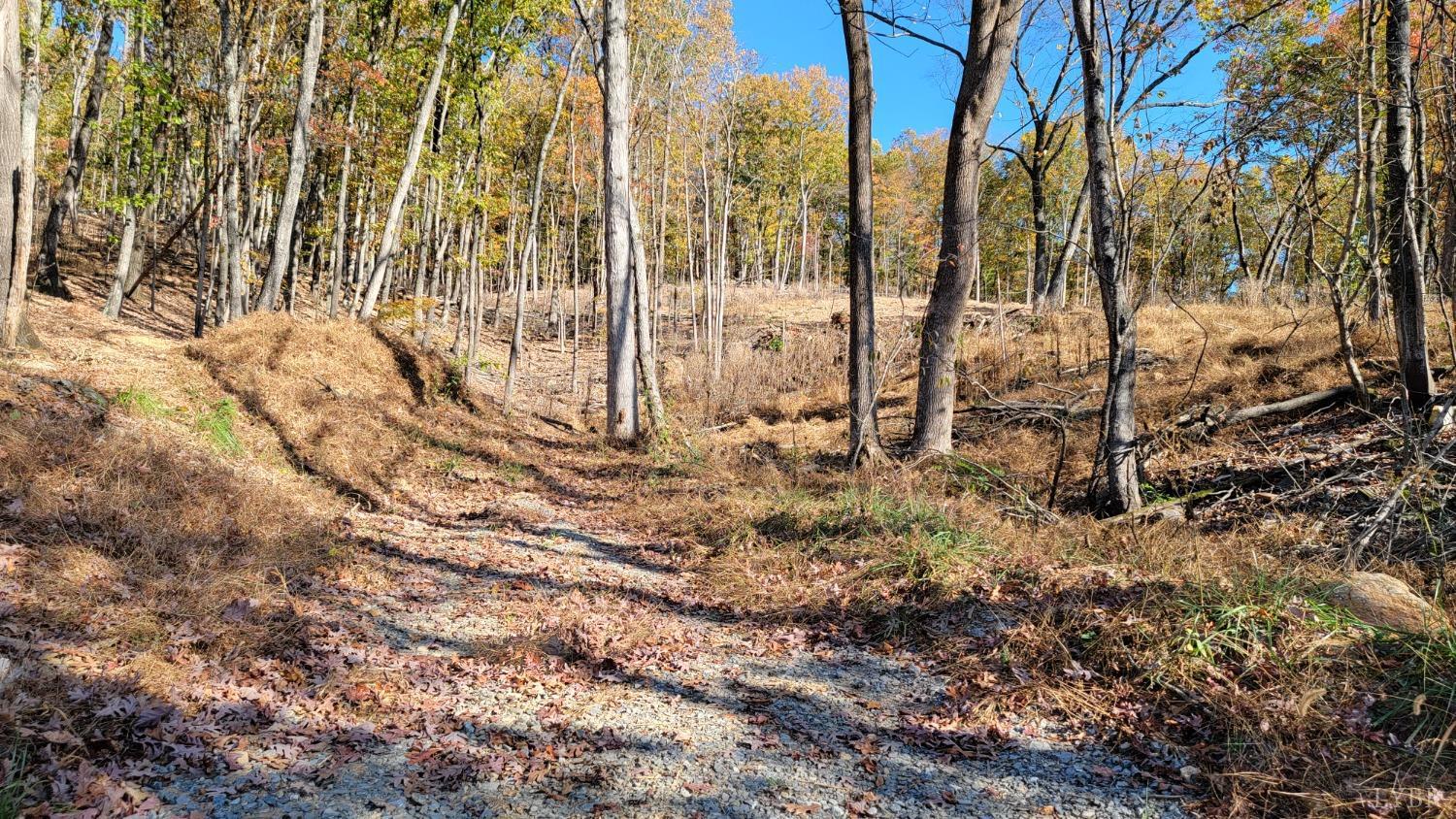 0 Pilot Mountain Road Moneta, VA 24121 - Photo 1 of 15 Gallery Image 1